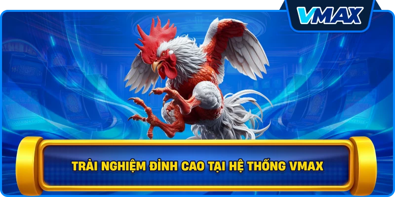 Trải nghiệm đỉnh cao tại hệ thống vmax